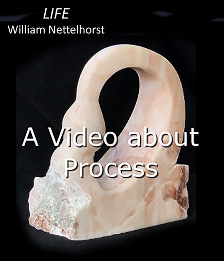 Life Process Video